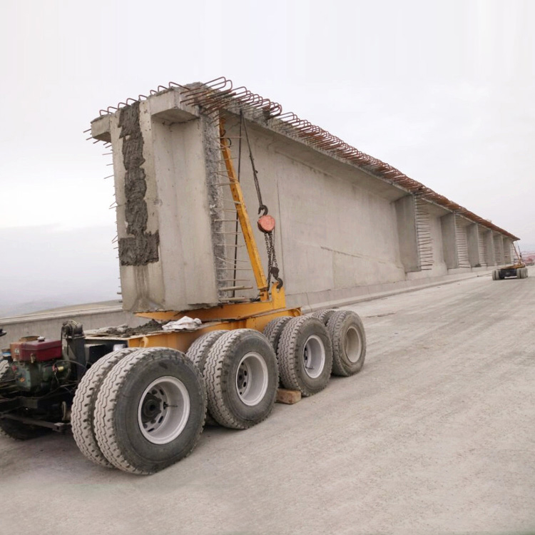 Beam transporting vehicle for launcher grider crane